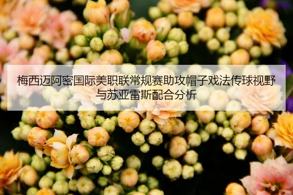 mei-xi-mai-a-mi-guo-ji-mei-zhi-lian-chang-gui-sai-zhu-gong-mao-zi-xi-fa-chuan-qiu-shi-ye-yu-su-ya-lei-si-pei-he-fen-xi-2-347.jpg